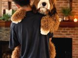 Türki̇yede Tek Bernedoodle Yavrulari