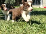 Türki̇yeni̇n En Özel Çi̇fli̇ği̇nden Eşsi̇z Bi̇r Deneyi̇m Si̇zleri̇ Bek