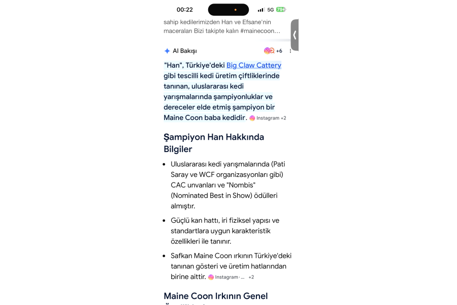 Benim bir şey deme gerek yok goog de var