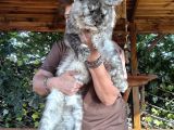 Big Claw Cattery