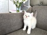 Bebişlerim Çok Sağlıklı