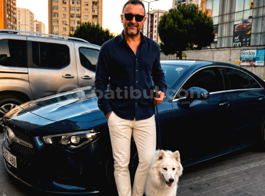 Aile Ortamında Büyümüş 9 Aylık Eğitimli Dişi Samoyed Pera görsel