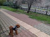 Rafa Oğlumuza Uygun Eş Arıyoruz