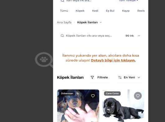 Test görsel