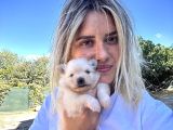 Pomeranian Yavruları