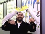 Dev Boylu Eği̇ti̇mli̇ Konuşan Sülfür Kakadu Papağani