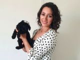 Orjinal Toypoodle Siyah Inciler Boyut Garantili Yavrulardır