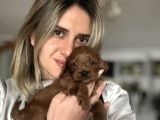 12 Yıllık Üreticiden Maltipoo Yavruları