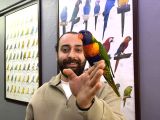 Maskot Gökkuşağı Lori papağanımız