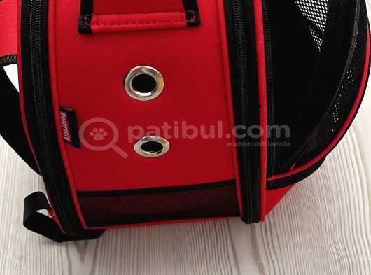 Toy Poodle 3 Aylık Orjinal görsel