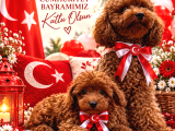 Evdoğumu Yavrular