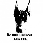 Yılmazhan Özdemir profil fotoğrafı