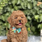 S.Yeni profil fotoğrafı