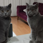 ümit güçlü profil fotoğrafı