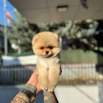 Eda Nur profil fotoğrafı
