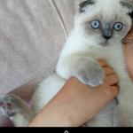 .... profil fotoğrafı