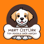 deniz yılmaz profil fotoğrafı