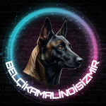 belcikamalinoisizmir profil fotoğrafı