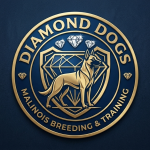 Diamond Dogs profil fotoğrafı