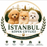 Denizhan özdemir profil fotoğrafı