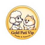 gold pati vip profil fotoğrafı