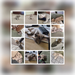 Sedanur erbay profil fotoğrafı