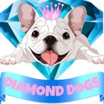 Diamound Dog profil fotoğrafı