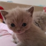 Dmr Dmrci profil fotoğrafı