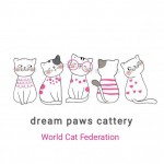 dream paws cattery profil fotoğrafı