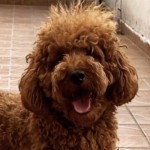 Aytaç Kaya profil fotoğrafı