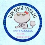 Neşe Artunkal profil fotoğrafı