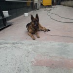 Ugur usta profil fotoğrafı