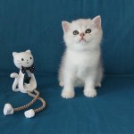 eda yücel profil fotoğrafı