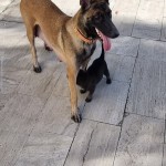 Barış Alptekin profil fotoğrafı