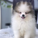Yaman Karan profil fotoğrafı