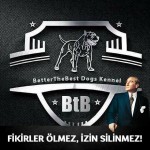 Berkant Altan profil fotoğrafı
