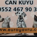 canip kuyu profil fotoğrafı