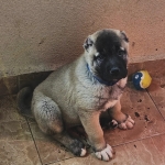 Umut taşdelen profil fotoğrafı