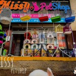 MissyPets1 profil fotoğrafı