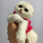 Selda Kara profil fotoğrafı