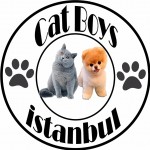 Burak Catboys profil fotoğrafı