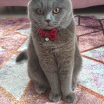 Furkan Çift profil fotoğrafı