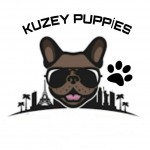 Kuzeypuppies profil fotoğrafı