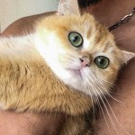 Eyüp sertkan profil fotoğrafı