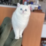 Harun davaz profil fotoğrafı