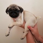 Huseyin profil fotoğrafı