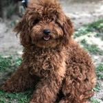Tuba Aydın profil fotoğrafı