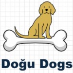 Doğu Dogs profil fotoğrafı
