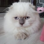 özgür ulusoy profil fotoğrafı