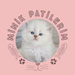 Minik Patilerim profil fotoğrafı